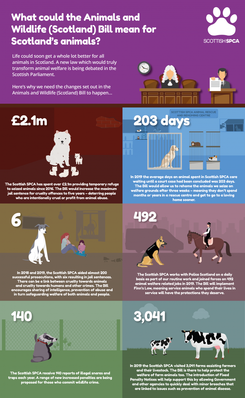 the-animal-welfare-act-2006-by-jayne-eddy